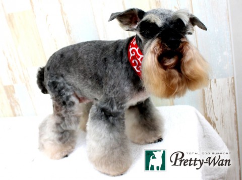 ミヤエローラ160511