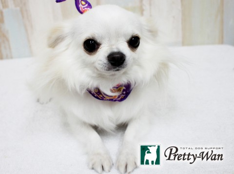 カトウミシェル160607