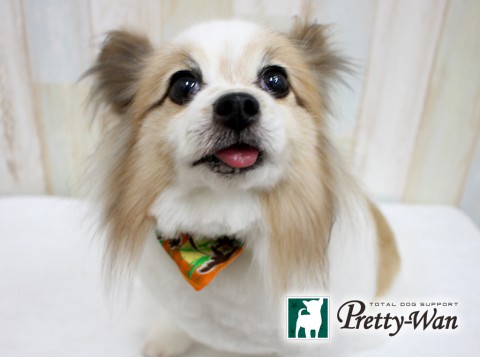 ツルミミント160625