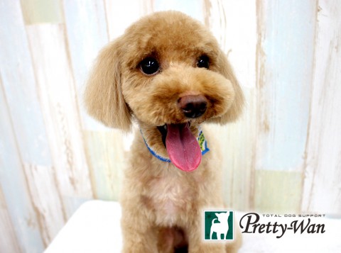 ヤマモトムーン160429