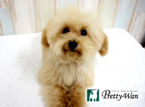 シンボクモカ160501