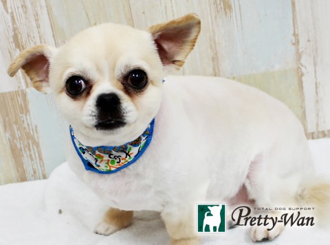 イケノリク160507