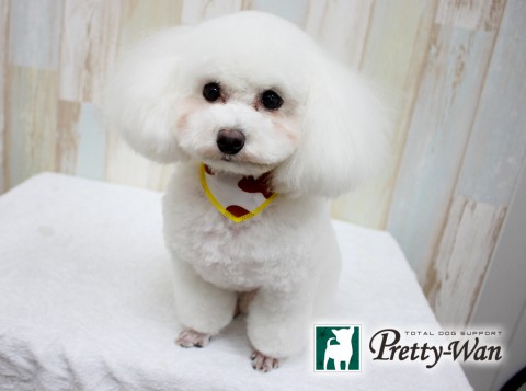 カトウアグ160312