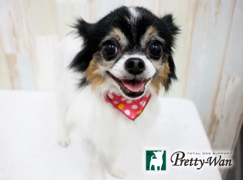 ヤマウチモコ160607