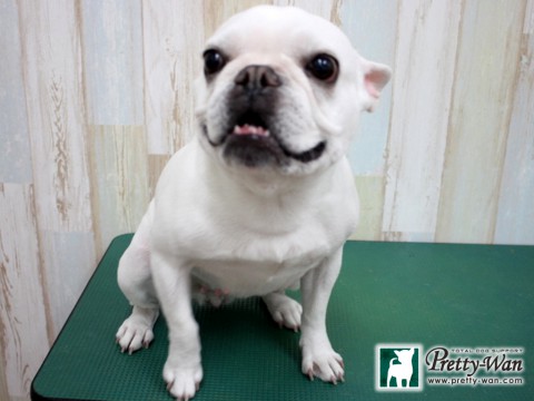 ヨネダバニラ160131