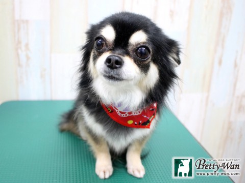 カタキリココ160208