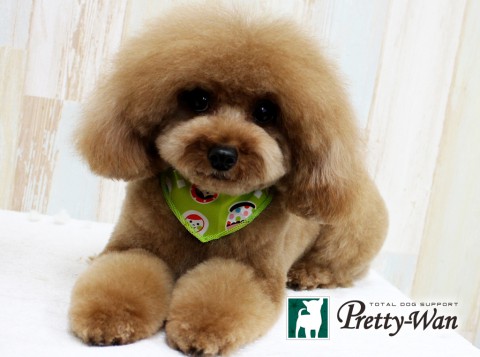 カンダマロン160409