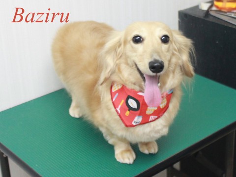 イチババジル150927