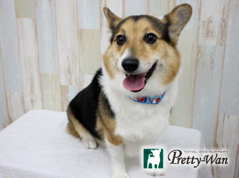 タケシタトラ160212