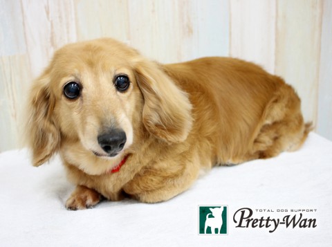 タバタアイ160316