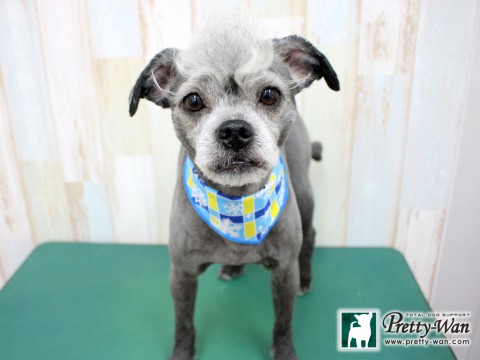 イマタナイト160209