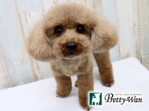 タカツカシュシュ160610 (2)