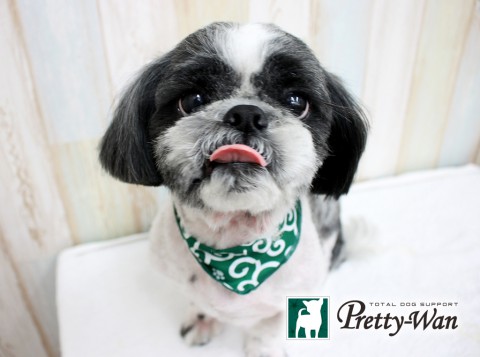 ハヤミユキト160508