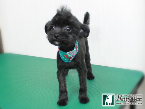 エグチフウガ150109