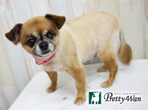 マツモトラムネ160415