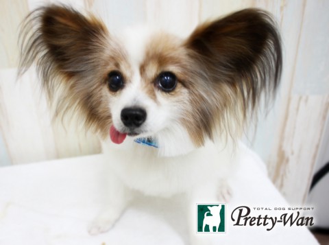 ニシカワカワナ160405