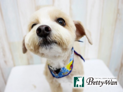 タケダシシマル160402