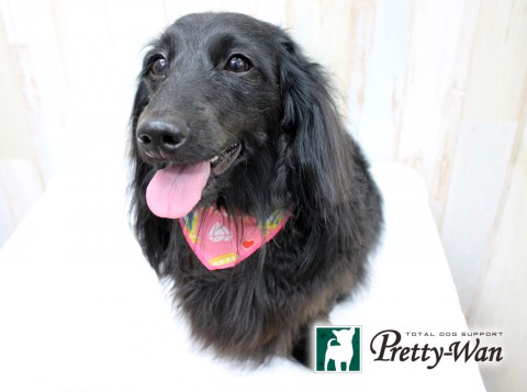 ツルタココ160429