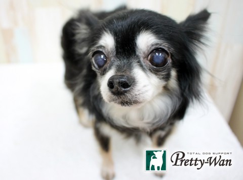 ホリキチィ160502