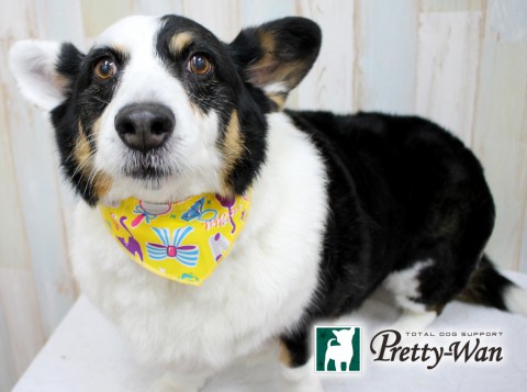 イイミソラ160424