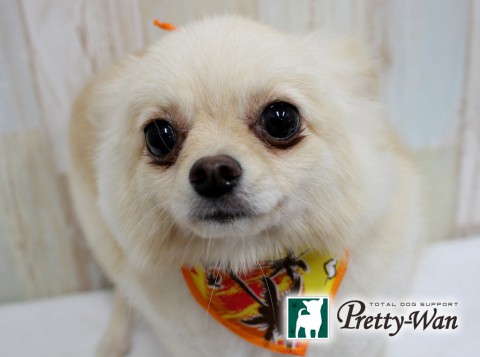 ミナガワポテチ160626