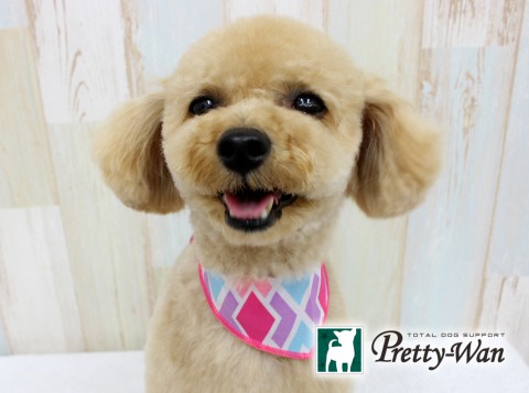 ワタナベクレープ160525