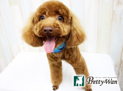 オガワリアン160423