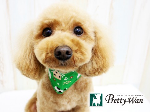 トモノウチャタロウ160326