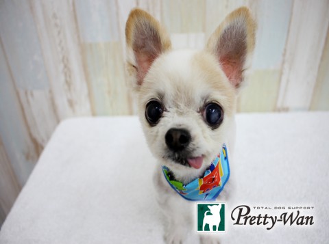 ホリキジュニア160502