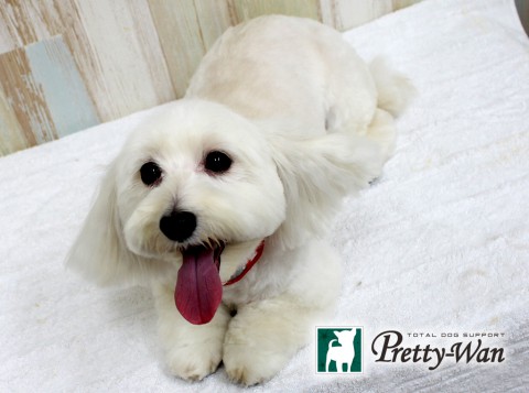 ワタナベミルキー160506