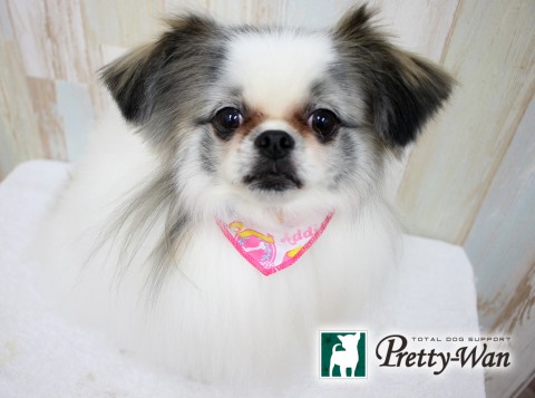 キムラココロ160314