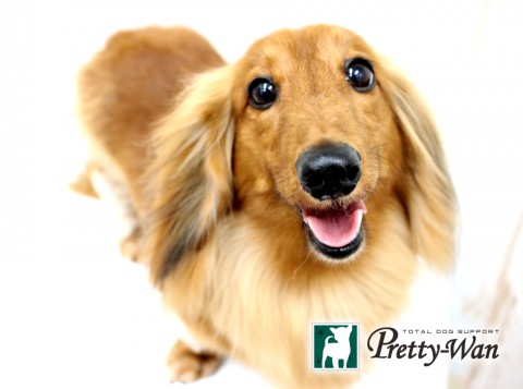 グウチャン160426