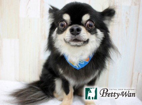 ワタナベホクト160521