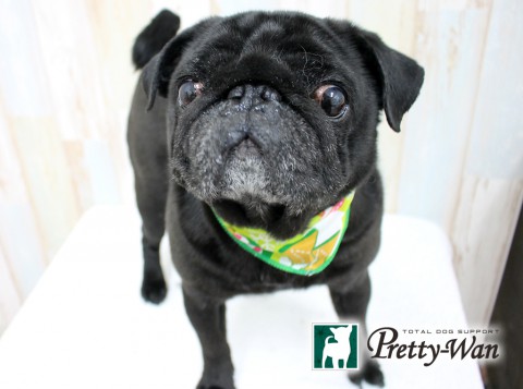 タナカトム160406