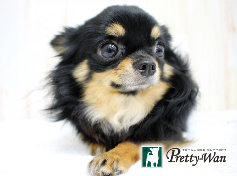 ヨコイナッツ160504