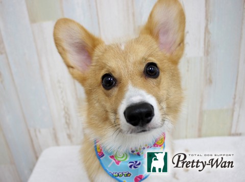 ナカシマロク160620