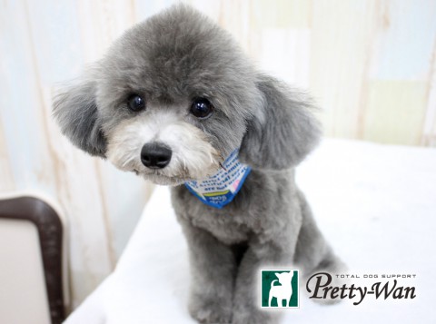 ミツクチソラ160312