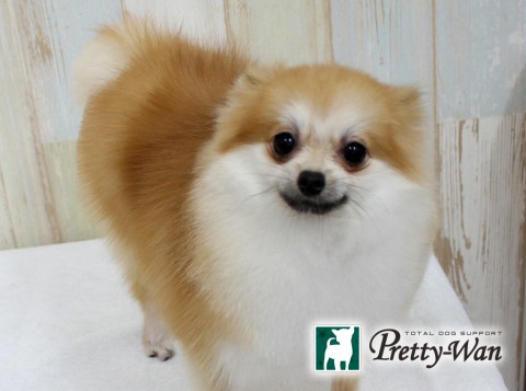 マツヤマクー160708