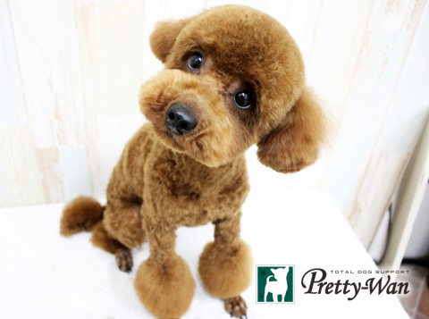 ミズノピース160517