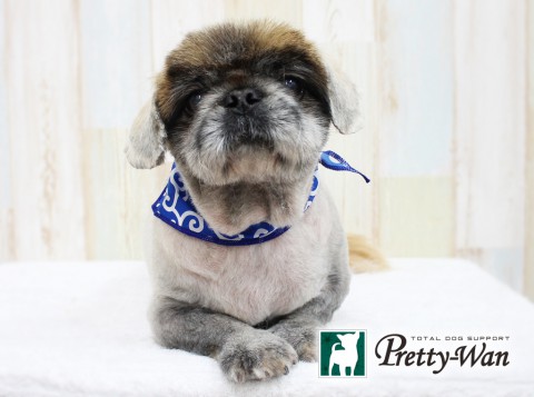 ハヤカワウーロン160418