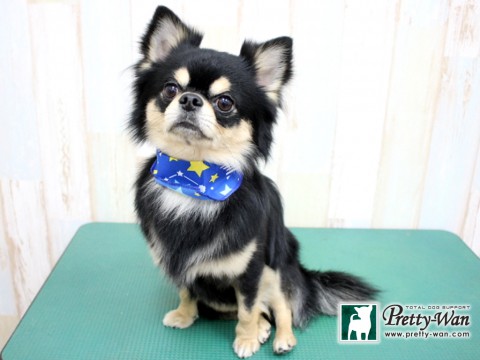 ミウラリュウ160203