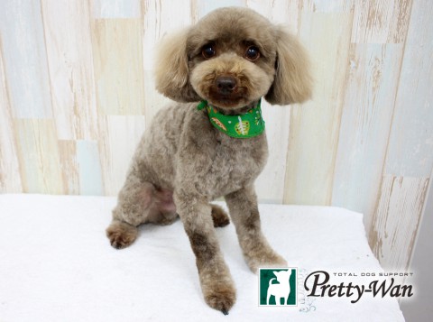 ヨゴチョコ160213