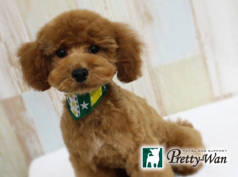 ミウラリュウ160409