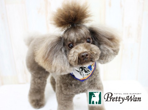 カトウチャーリー160419