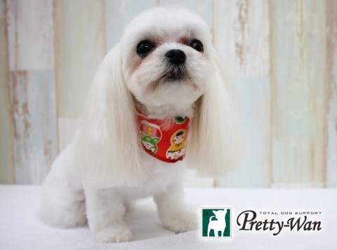 イマイリン160418