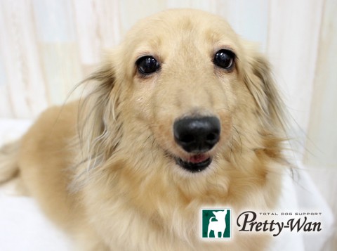 イナバアイ160610