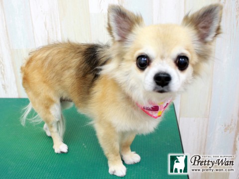 モチズキユナ160123