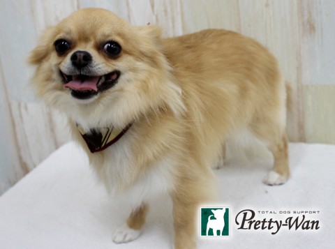 イチカワランラン160603