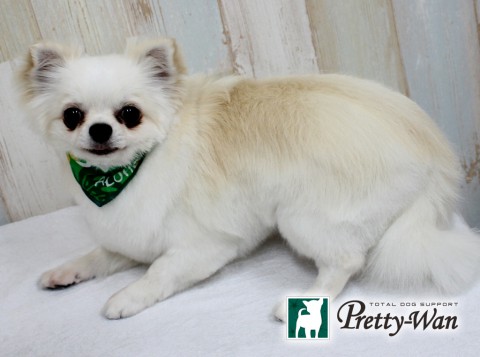 カサイクー160626