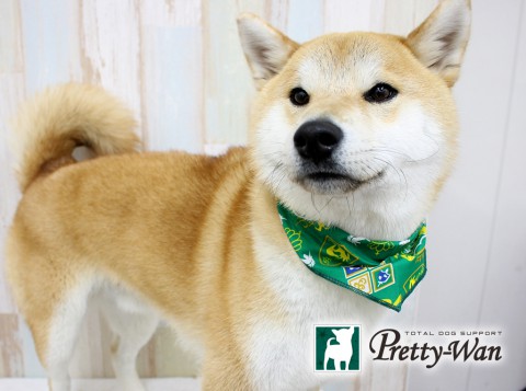 ヨシカワサブロウ160405